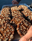 Peanut Butter Malt (V/GF)