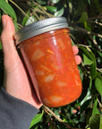 Best Red Sauce