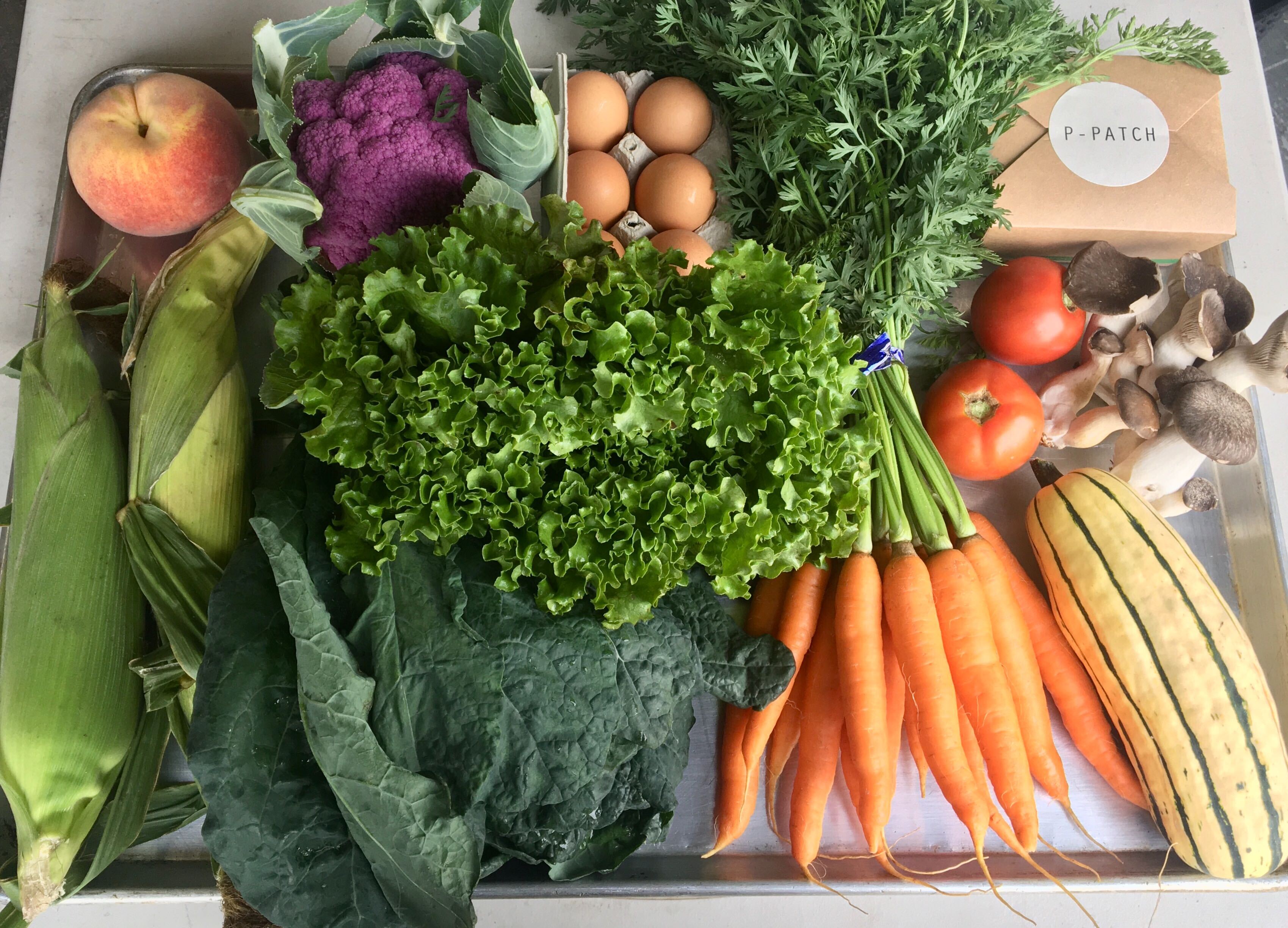 Salmonberry Farm Box