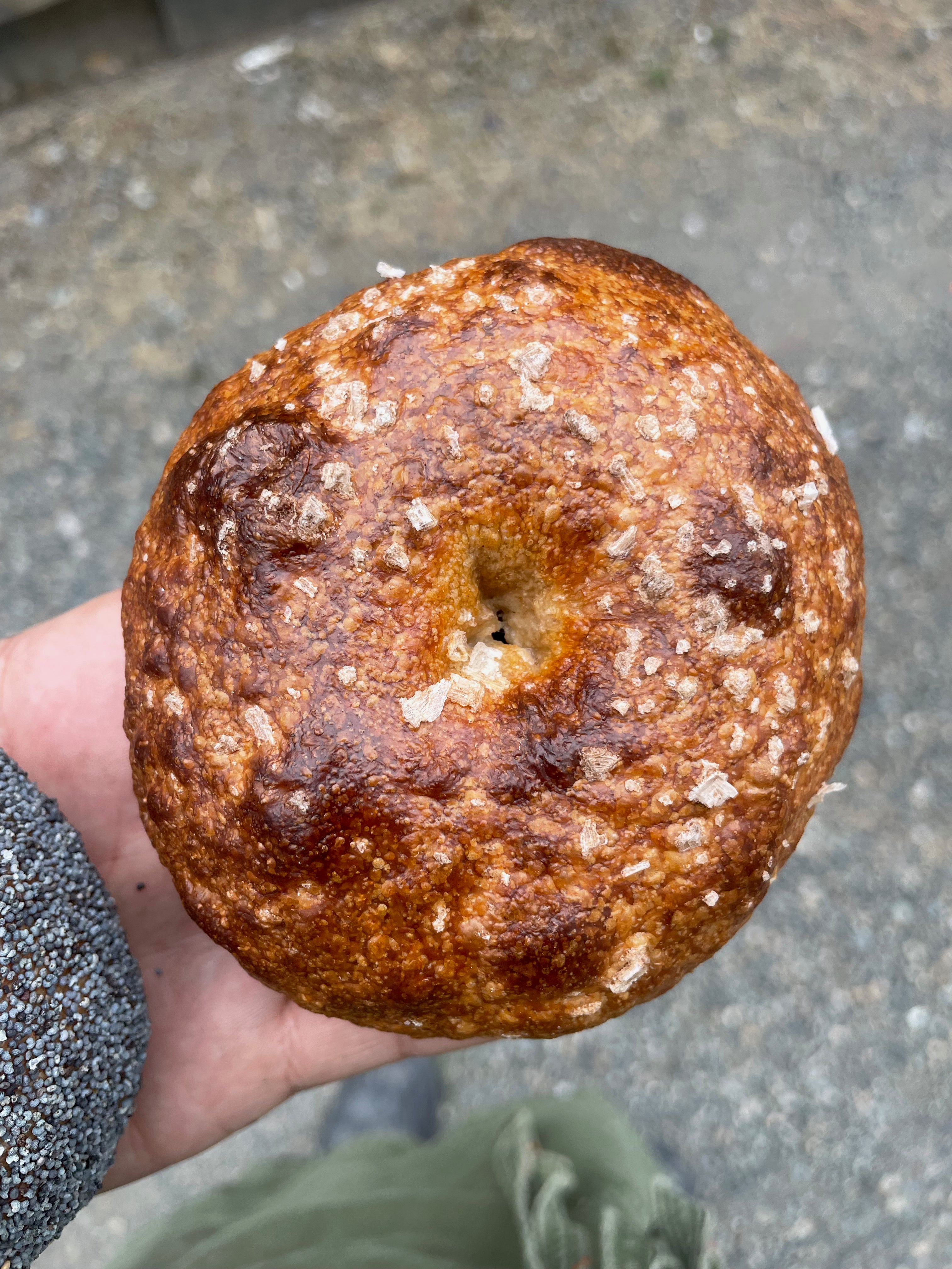 Farm-to-Bagel