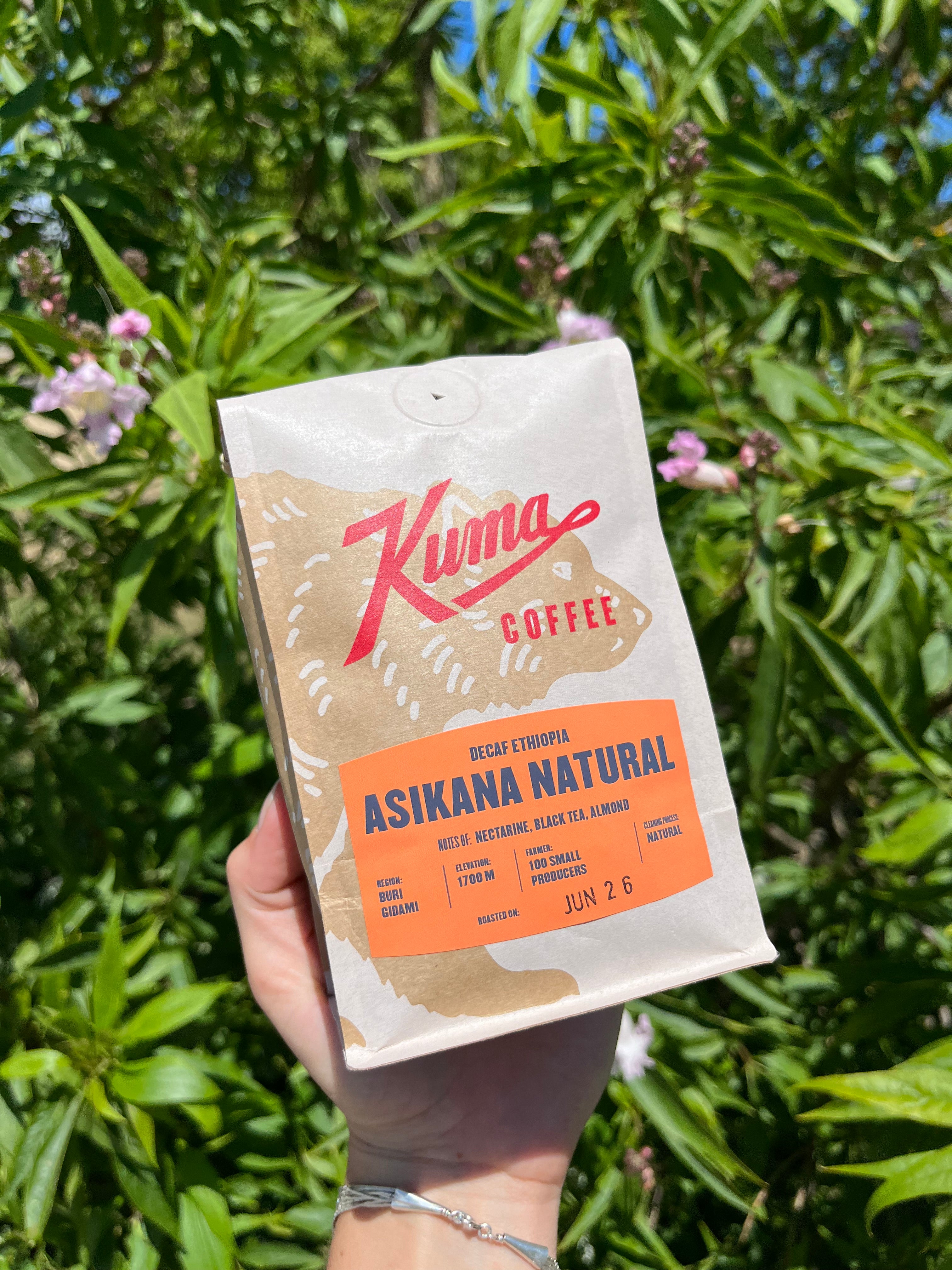 Kuma Coffee: Seasonal Decaf