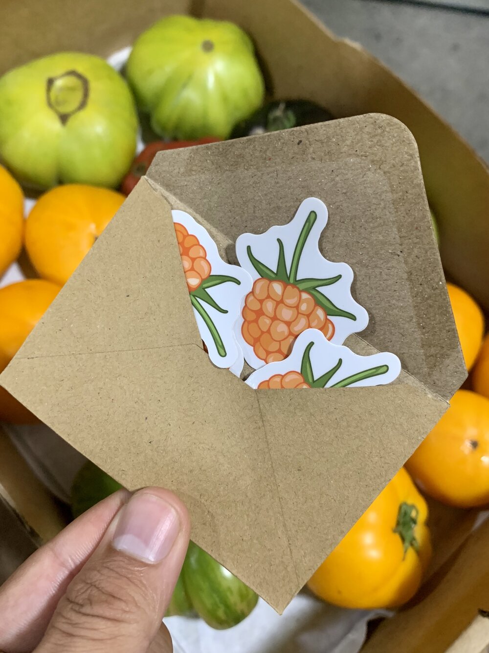 Salmonberry Stickers