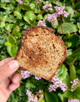 Sourdough Hippy Whole Wheat