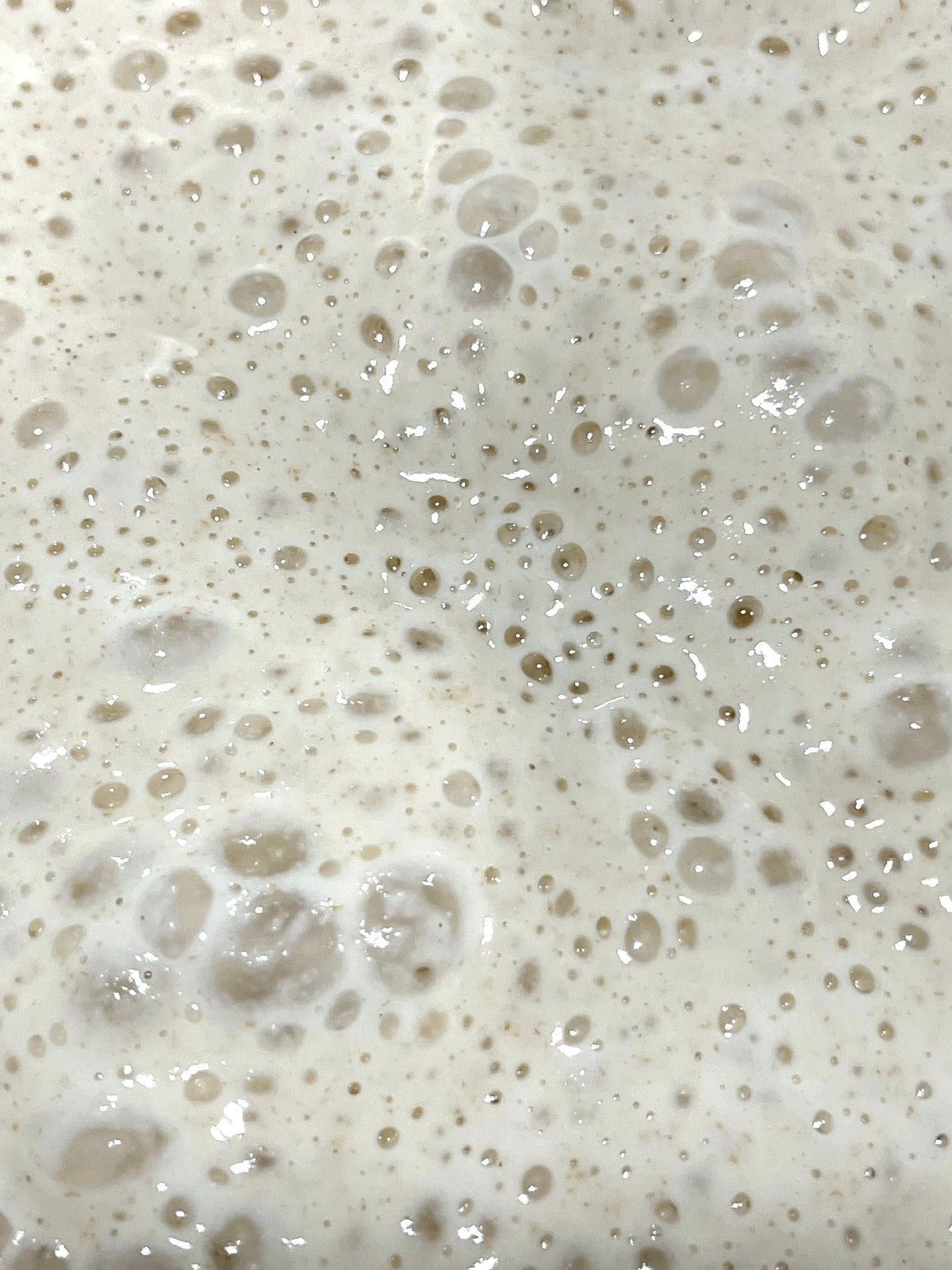 Sourdough Starter
