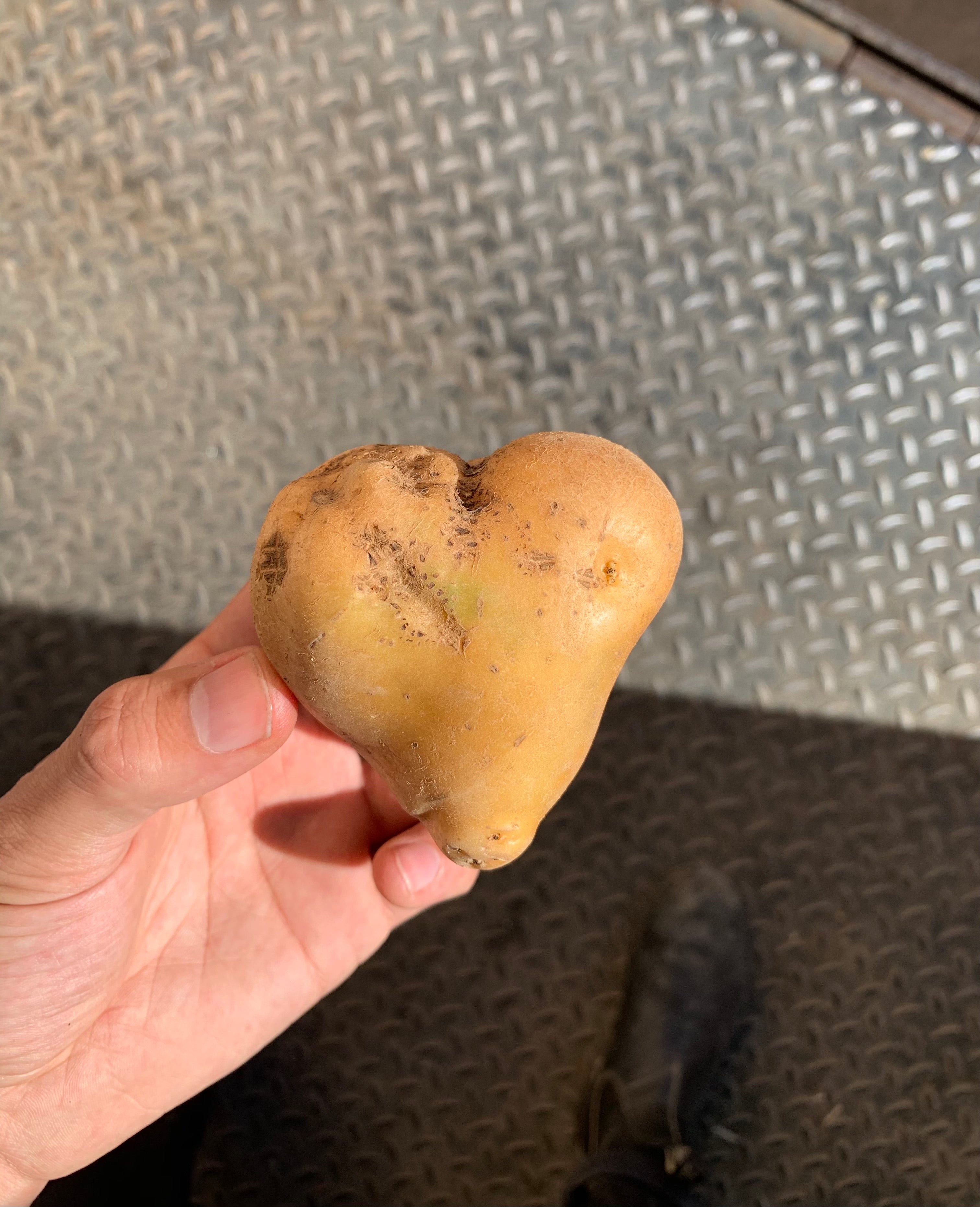 Sack of Potatoes
