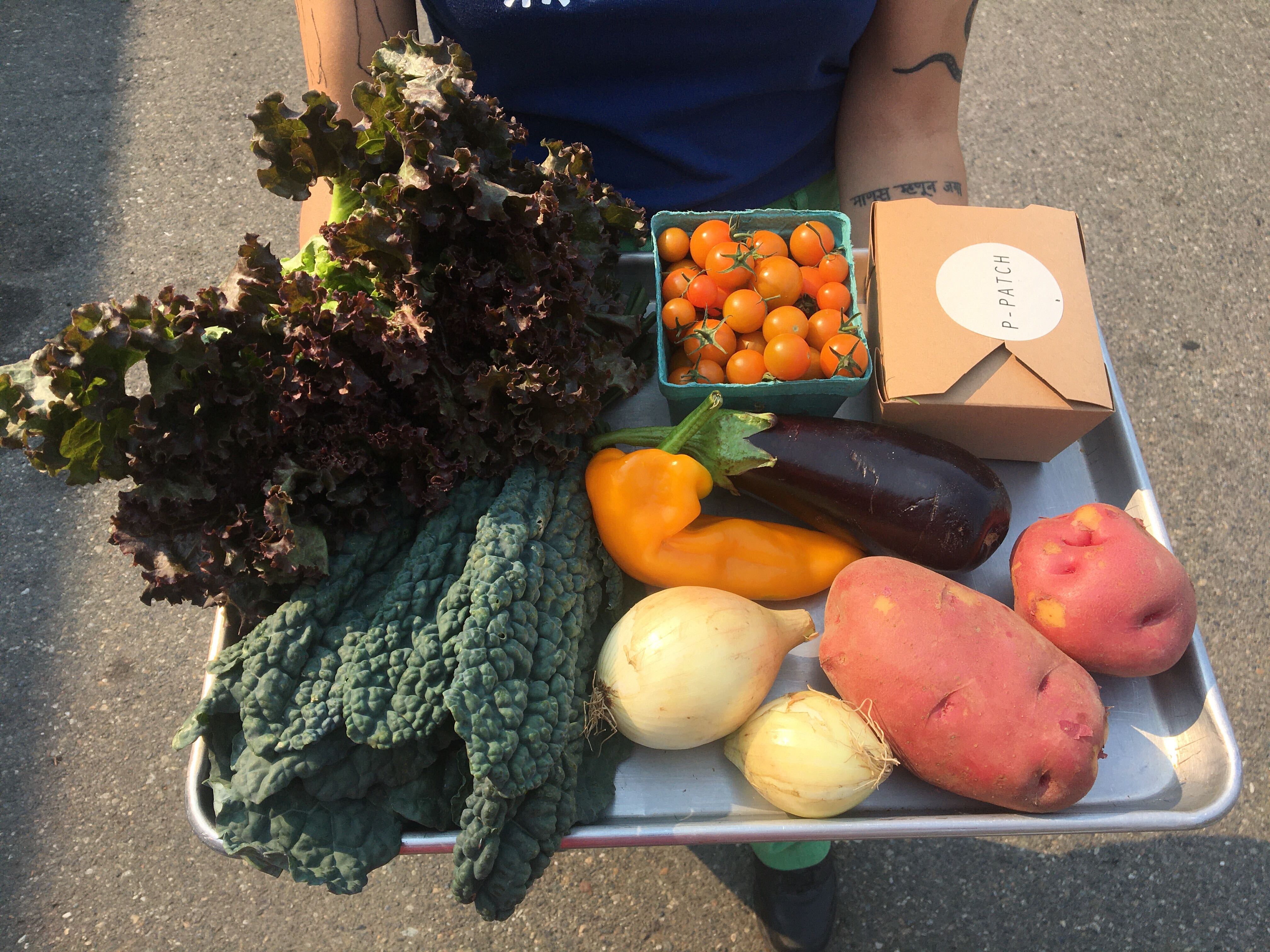 Salmonberry Essentials