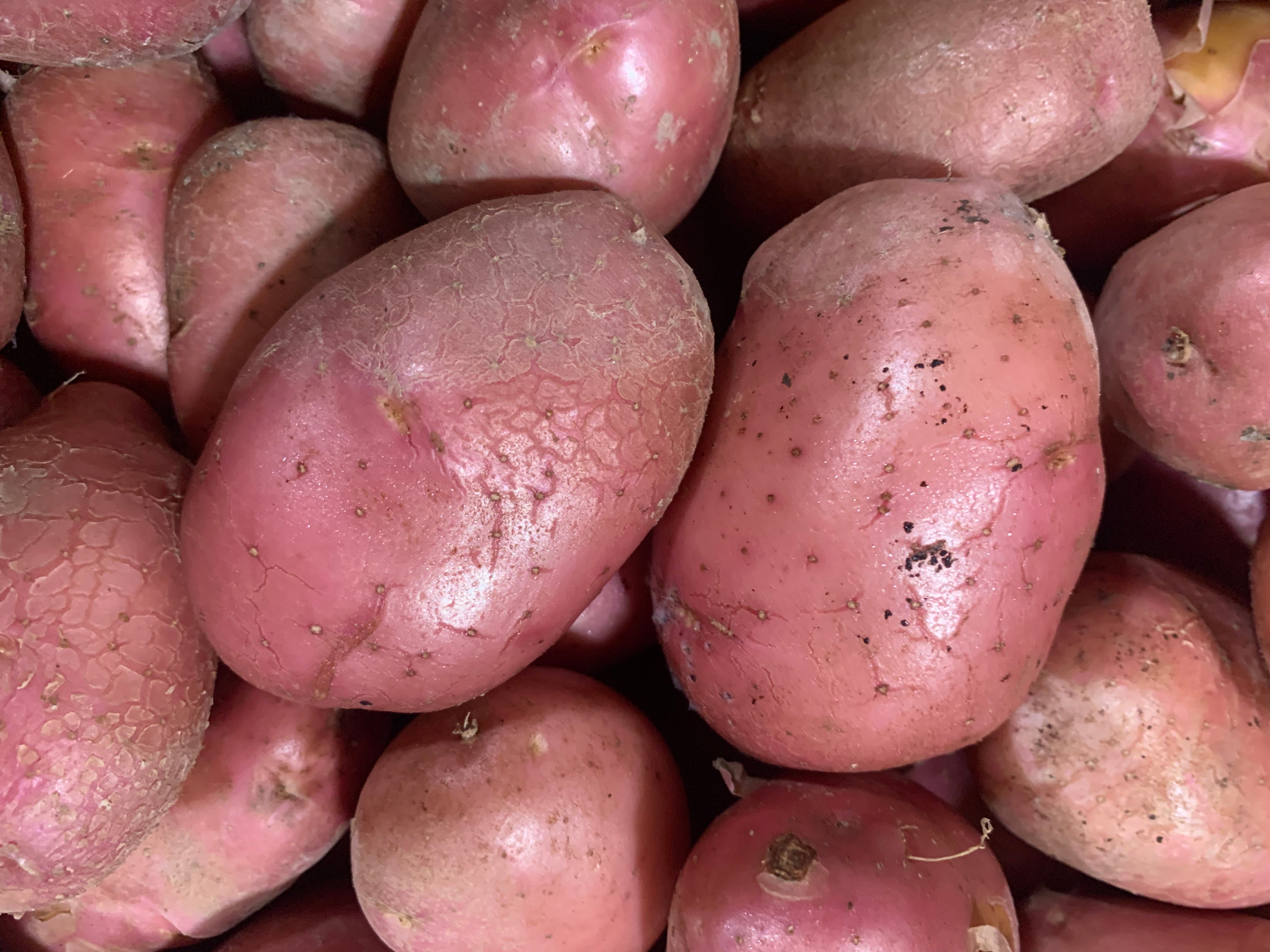 Sack of Potatoes