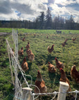 Pastured Chicken Share